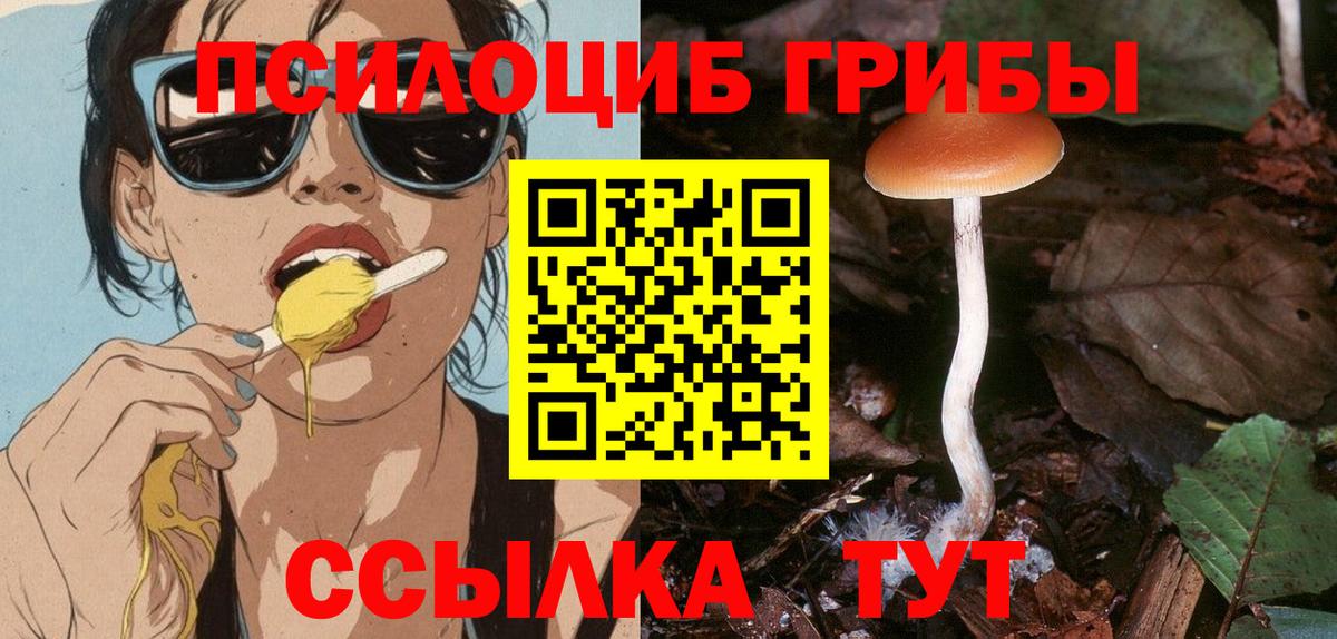 Псилоцибиновые грибы GOLDEN TEACHER  купить наркоту  Псков  Псилоцибиновые грибы MAGIC MUSHROOMS  Вход с VPN 
